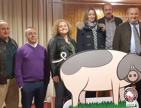 Lugo acollerá o día 24 as xornadas sobre porco celta de maior entidade de Galicia