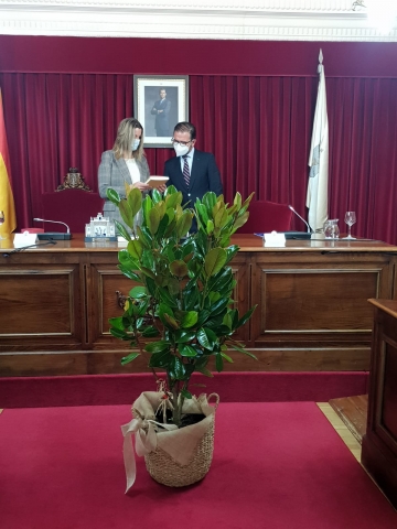 Lugo e Ferrol celebran o 20 aniversario do seu irmandamento reivindicando o papel dos concellos na loita contra a pandemia