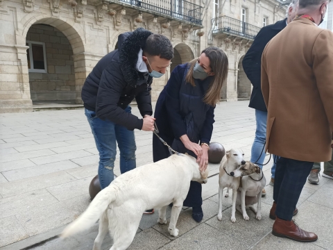 Lugo acolle de novo a exposición canina nacional e internacional, con máis de 2.000 participantes e a celebración do seu centenario