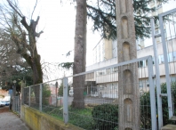 El Ayuntamiento consigue que el SERGAS lleve a cabo la poda de las árboles del recinto del Viejo General, que invadían la vía pública
