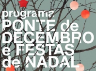 Ponte e Nadal en Lugo: máis de 60 alternativas para toda a familia