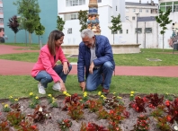La alcaldesa aumenta un 33% la ornamentación de las prazas con la colocación de 40.000 flores de 13 especies diferentes