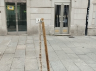 El Ayuntamiento denuncia la vandalización de siete árboles en el Parque Rosalía y la rúa Bispo Aguirre y pide respecto a los espacios públicos