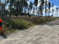 O Executivo de Paula Alvarellos incorporará cinco brigadistas que realizarán traballos de prevención e loita contra o lume no período estival