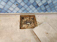 Participación executa un dispositivo especial de limpeza na Praza de Abastos co que se retiraron máis de 450 Kg de restos das arquetas