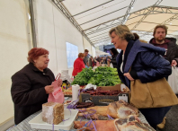 Paula Alvarellos: "Los 160 años de la Feria de Nadela simbolizan la esencia de la identidad lucense y rural" Paula Alvarellos: "Los 160 años de la Feria de Nadela simbolizan la esencia de la identidad lucense y rural"