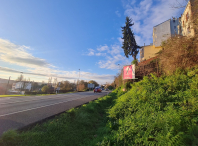 El Concello de Lugo activa un plan especial de tráfico por la retirada de un abeto de grandes dimensiones en la calle Santiago