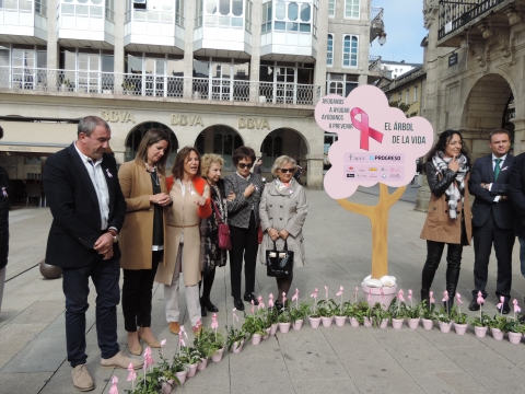 A Praza Maior loce un lazo rosa de flores no Día Internacional contra o cancro de mama
