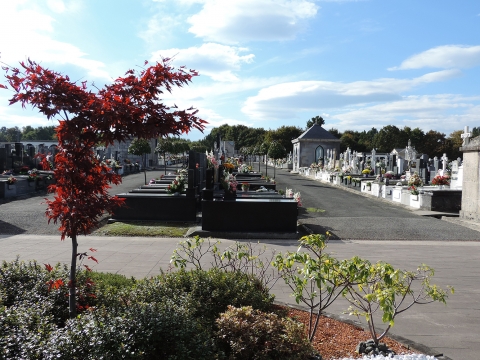 El Cementerio Municipal de San Froilán, en el listado de cementerios más bonitos del mundo de National Geographic