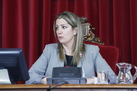 A Alcaldesa: “Este ano puxemos os cimentos do Lugo do futuro, que comezará a cristalizar co Orzamento 2018”