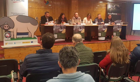 A Xornada Técnica Monográfica do Porco Celta citouse este sábado en Lugo no Pazo de Feiras e Congresos