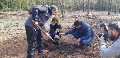 Lara Méndez anticipa con la plantación de un roble en el humedal de As Gándaras la Semana Verde de la UE