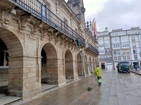 El Ayuntamiento estrena el otoño renovando la ornamentación floral de su fachada