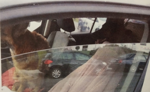 Comunicado de prensa de la Policía Local de Lugo Comunicado de prensa de la Policía Local de Lugo