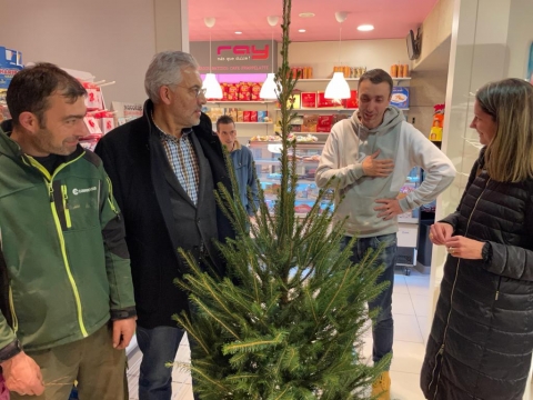 Lara Méndez reparte 400 abetos entre los comercios de la campaña Nadalmente Lucense para incentivar la compra de barrio