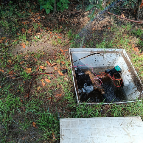 O Concello de Lugo denuncia actos vandálicos no canil de Frigsa, recén reformado a petición da veciñanza