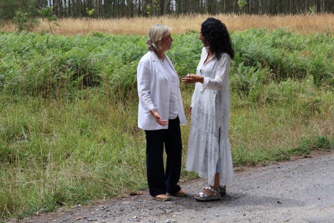 O Executivo de Paula Alvarellos aborda, en setembro, melloras na rede viaria rural cun investimento de case medio millón euros