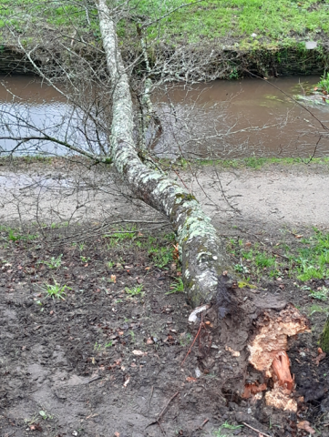 Comunicado de prensa de la Policía Local de Lugo Comunicado de prensa de la Policía Local de Lugo