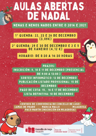 Cohesión Social activa as Aulas Abertas de Nadal nos centros de convivencia para facilitar a conciliación das familias