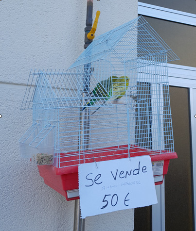 Comunicado de prensa de Policía Local de Lugo