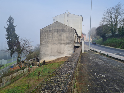 El Concello de Lugo activa un plan especial de tráfico por la retirada de un abeto de grandes dimensiones en la calle Santiago