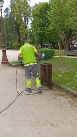 Transición Ecolóxica continúa os traballos de conservación e posta en valor no Parque Rosalía de Castro