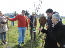 El Ayuntamiento conmemora el Día del Árbol con ASPNAIS El Ayuntamiento conmemora el Día del Árbol con ASPNAIS