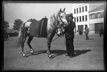 El Ayuntamiento celebra el Día Mundial del Patrimonio Audiovisual ofreciendo en su página web fotografías antiguas