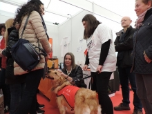 Tres días para comprar el regalo de Navidad más solidario en el Diversiarte, que impulsa además el trabajo de casi de 30 asociaciones