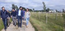 Concluída a plantación de 5 hectáreas nas Gándaras con 13.000 exemplares de frondosas e cultivos enerxéticos a través do Life Concluída a plantación de 5 hectáreas nas Gándaras con 13.000 exemplares de frondosas e cultivos enerxéticos a través do Life