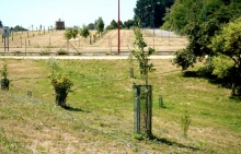 O LIFE Lugo+ Biodinámico xa exporta as boas prácticas das plantacións demostrativas para impulsar a economía verde O LIFE Lugo+ Biodinámico xa exporta as boas prácticas das plantacións demostrativas para impulsar a economía verde