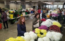A Área de Participación organiza o Mercado Especial das Flores con motivo da festividade de Santos