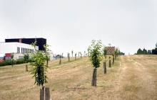 El Ayuntamiento de Lugo impulsa la bioeconomía vinculada a la castaña con talleres para mejorar su producción