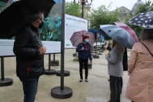 Maite Ferreiro inaugura la exposición Os nosos Océanos, organizada por Afundación con el área de Cultura Maite Ferreiro inaugura la exposición Os nosos Océanos, organizada por Afundación con el área de Cultura