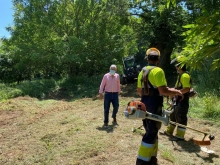 A área de Medio Ambiente acondiciona o Parque dos Paxariños