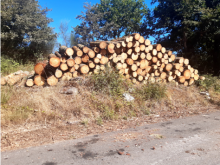 COMUNICADO DE PRENSA DA POLICÍA LOCAL DE LUGO