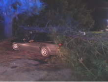 COMUNICADO DE PRENSA DA POLICÍA LOCAL DE LUGO