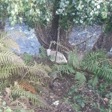 Comunicado de prensa de la Policía Local de Lugo