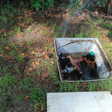 O Concello de Lugo denuncia actos vandálicos no canil de Frigsa, recén reformado a petición da veciñanza