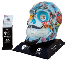 Lugo desfrutará da exposición Mexicráneos, a mostra de arte urbano máis grande de México