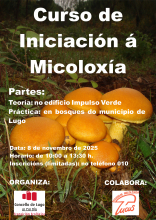 Transición Ecológica organiza para el sábado un curso de iniciación a la micología en el Impulso Verde y en bosques cercanos a la ciudad